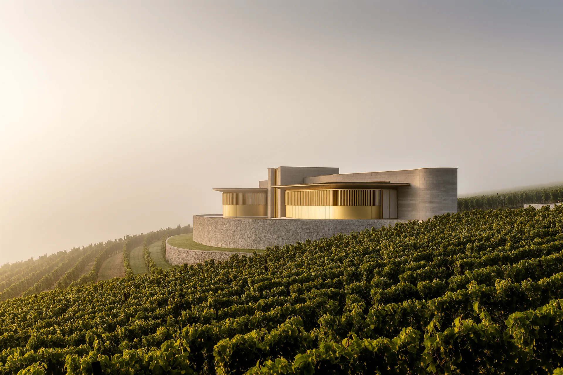 Rangées de vignes ondulant sur une colline au petit matin, un domaine de pierre au loin dans la brume