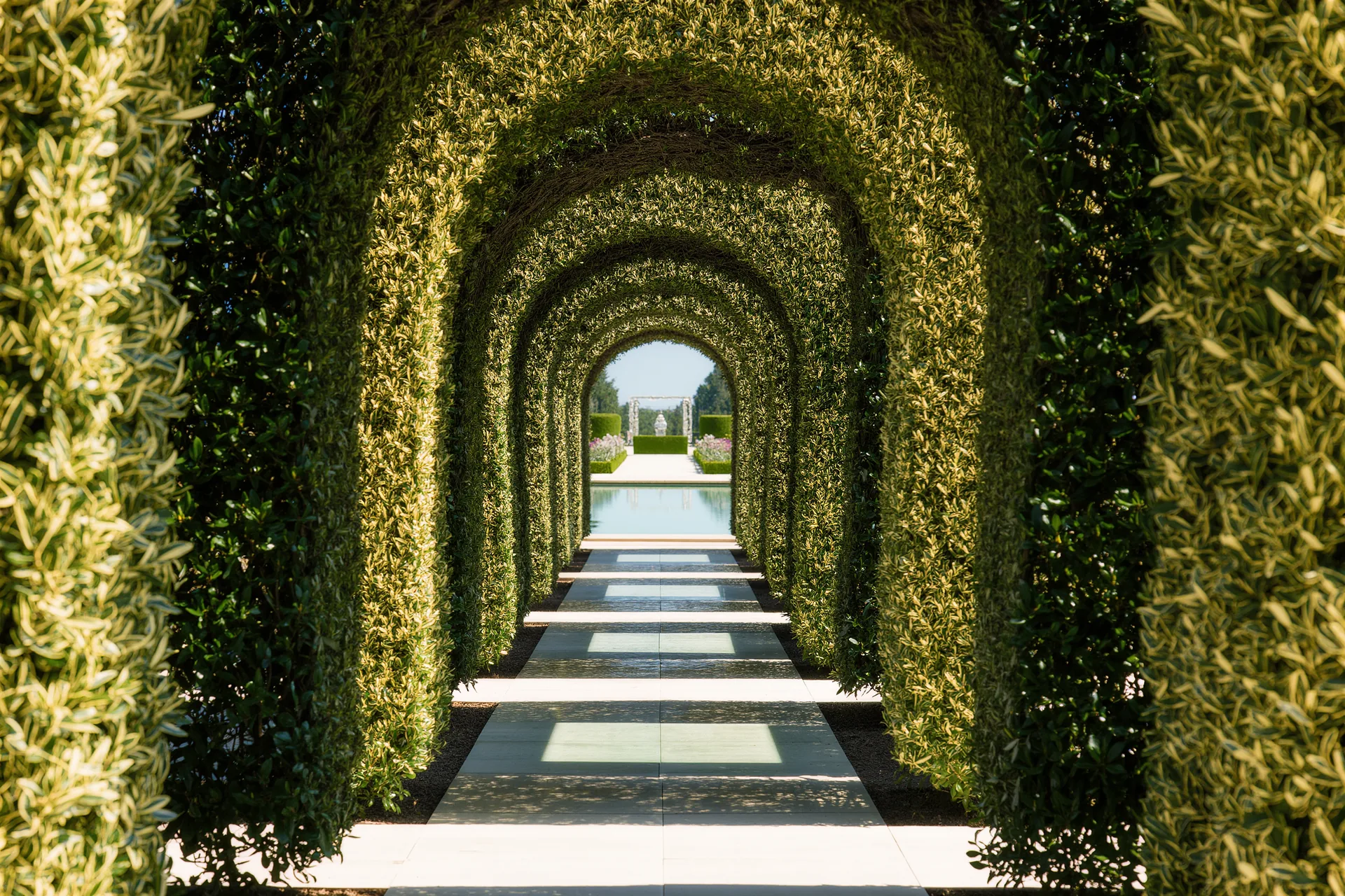 Allée d'un jardin classique à la française bordée de buis taillés, perspective vers un bassin au loin